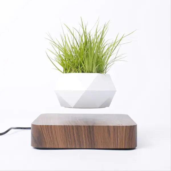 Floating Plant Pot Levitating Plant Pot