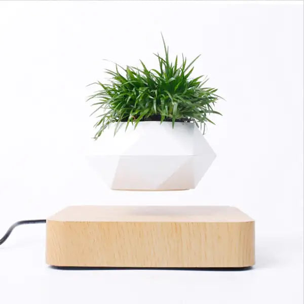 Floating Plant Pot Levitating Plant Pot