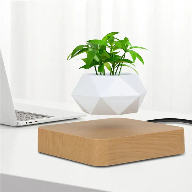 Floating Plant Pot Levitating Plant Pot